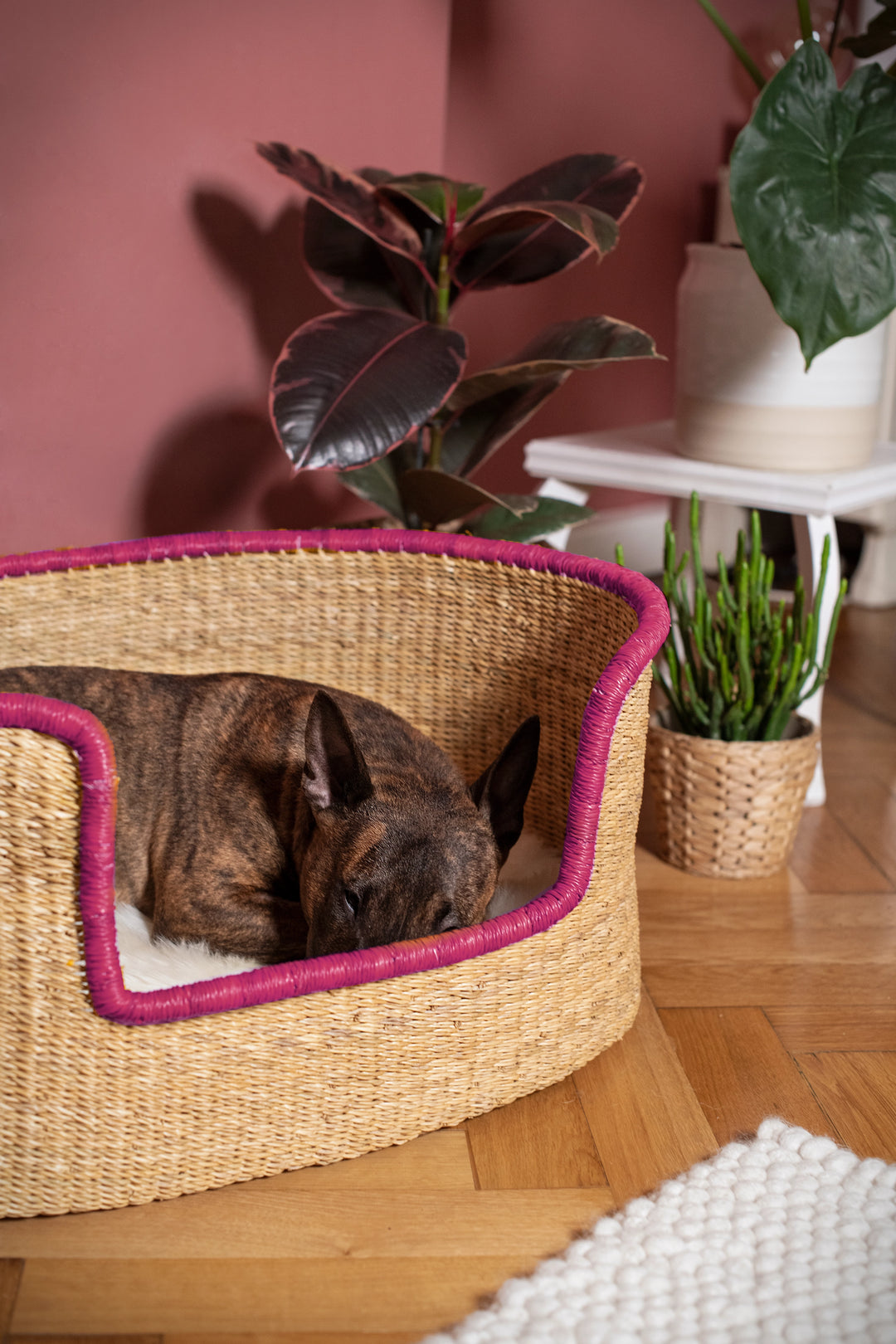 Hundekorb 'natur pink'