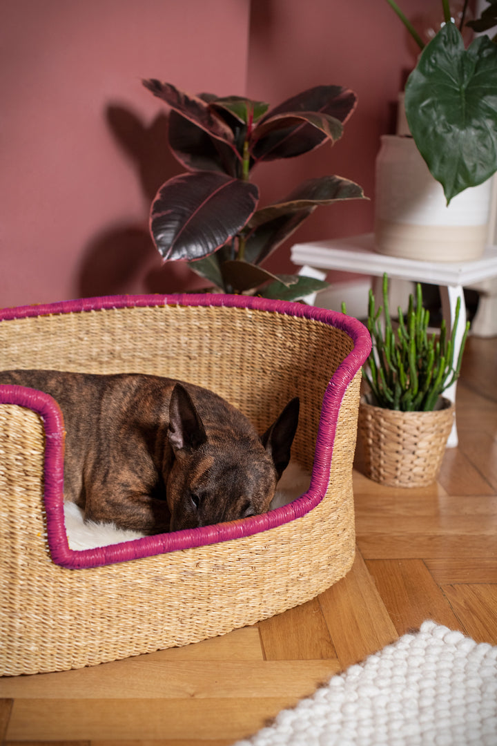 Hundekorb 'natur pink'