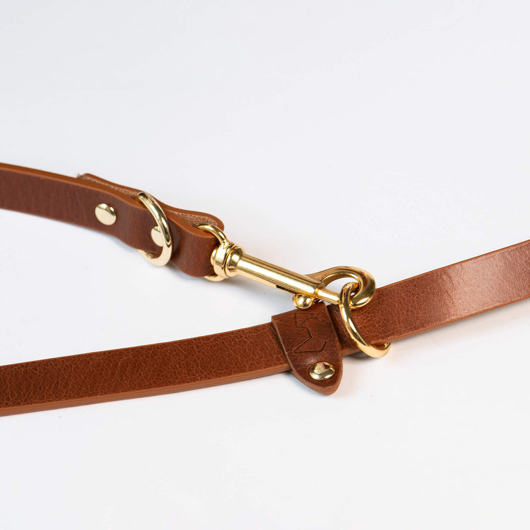 Hundeleine 'Multiposition braun'