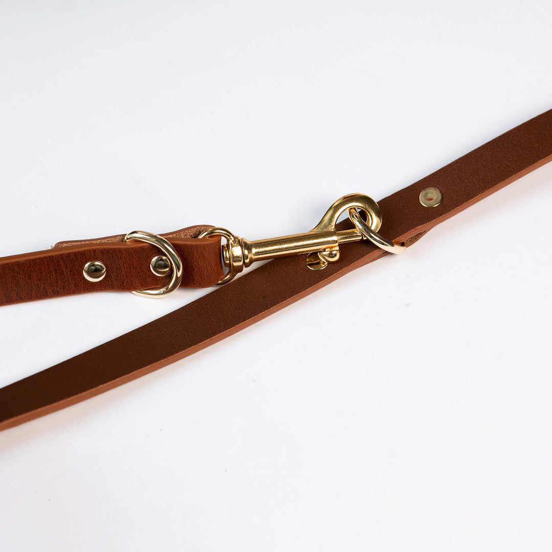 Hundeleine 'Multiposition braun'