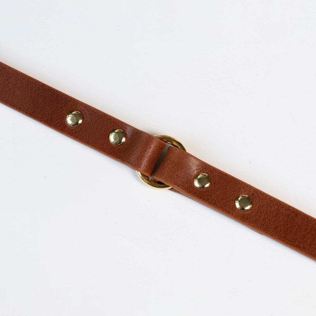 Hundeleine 'Multiposition braun'