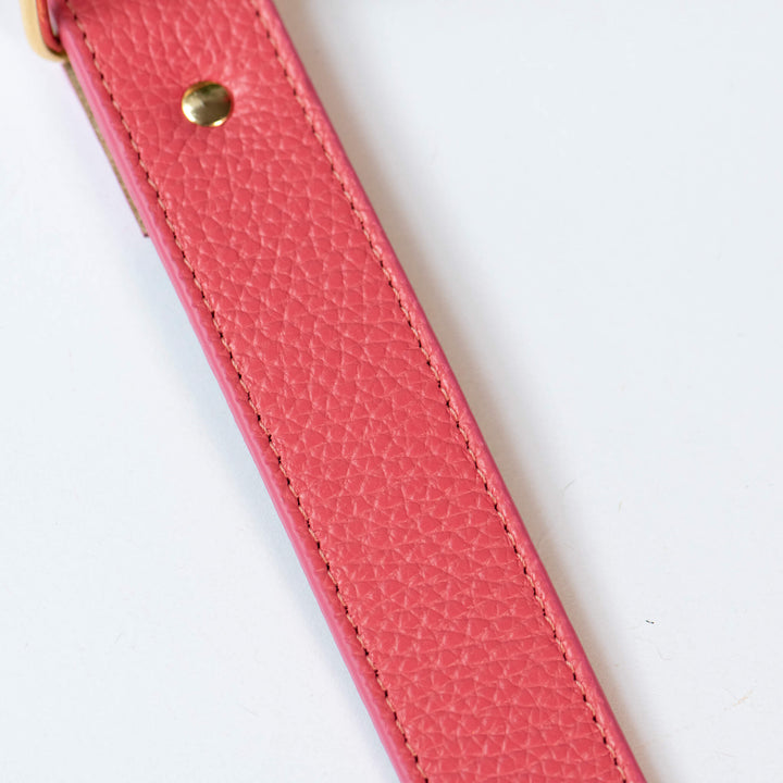 Hundehalsband 'soft Coralpink'