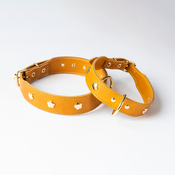 Hundehalsband 'Blümchen gelb'