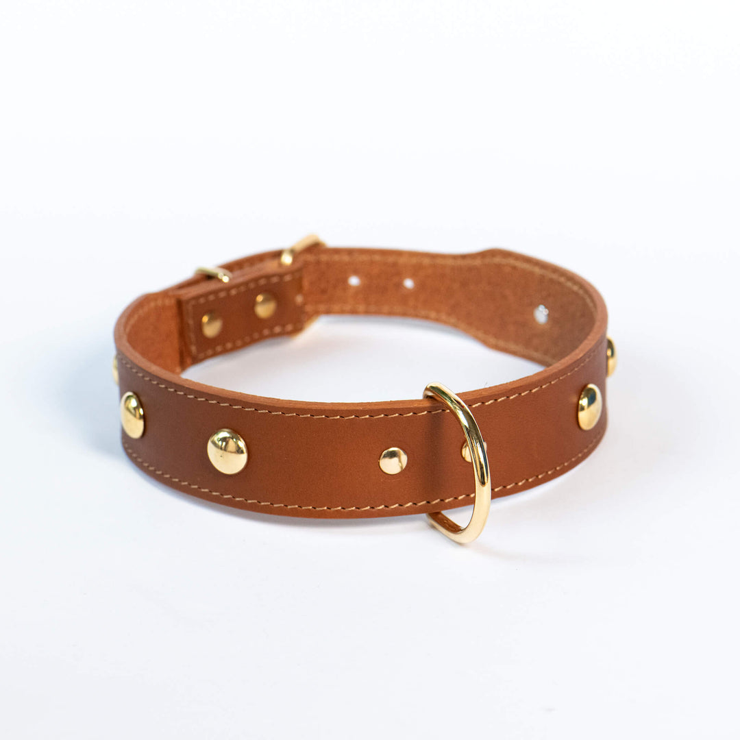 Hundehalsband 'Dots braun'