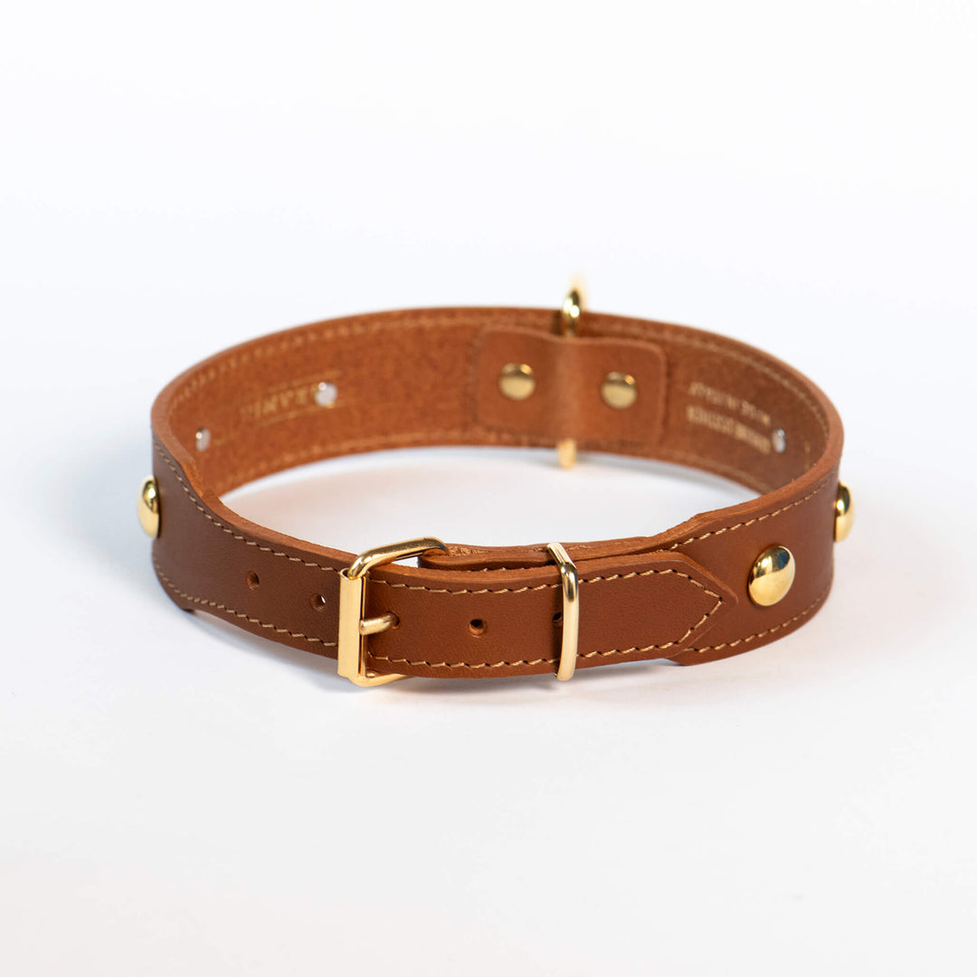 Hundehalsband 'Dots braun'