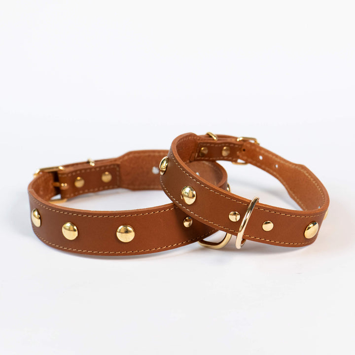 Hundehalsband 'Dots braun'