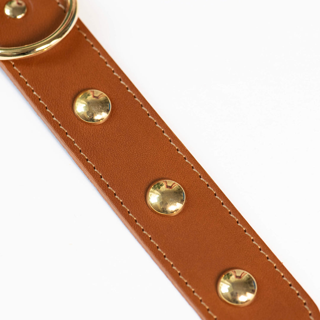 Hundehalsband 'Dots braun'