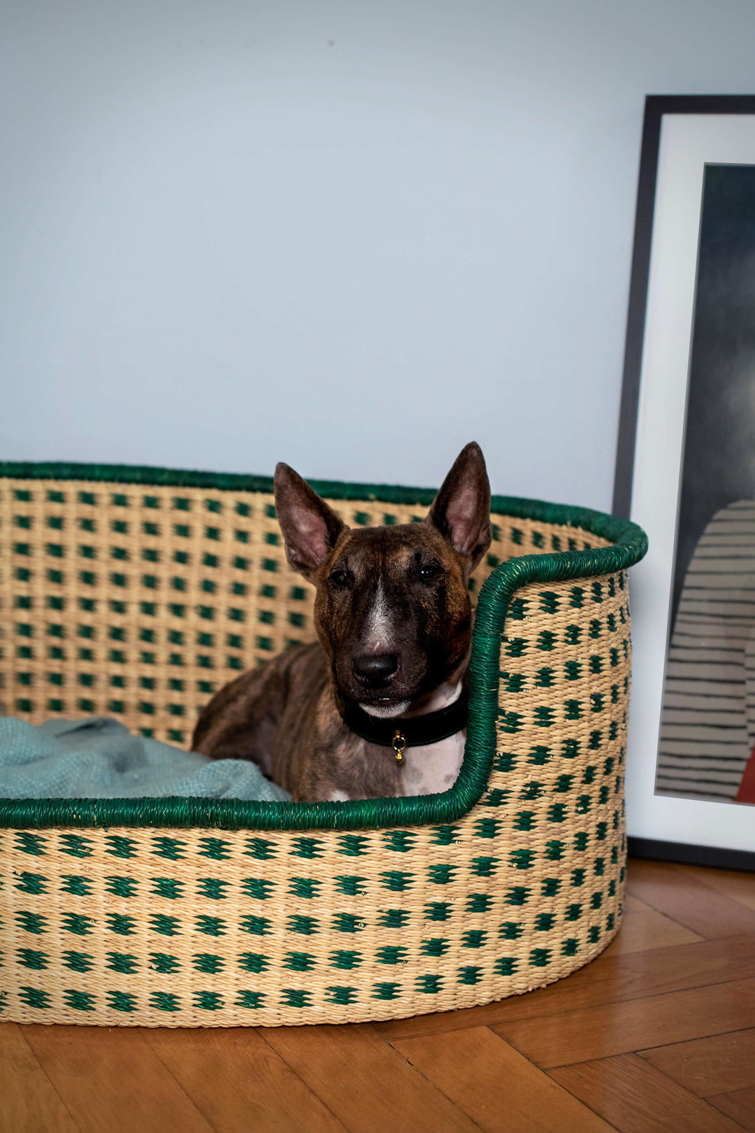 Fuchsdeifeswuid Dirndl München Hundekorb safarigrün