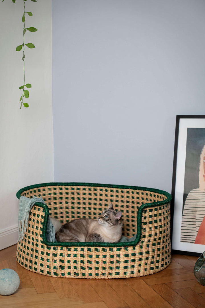 Fuchsdeifeswuid Dirndl München Hundekorb safarigrün