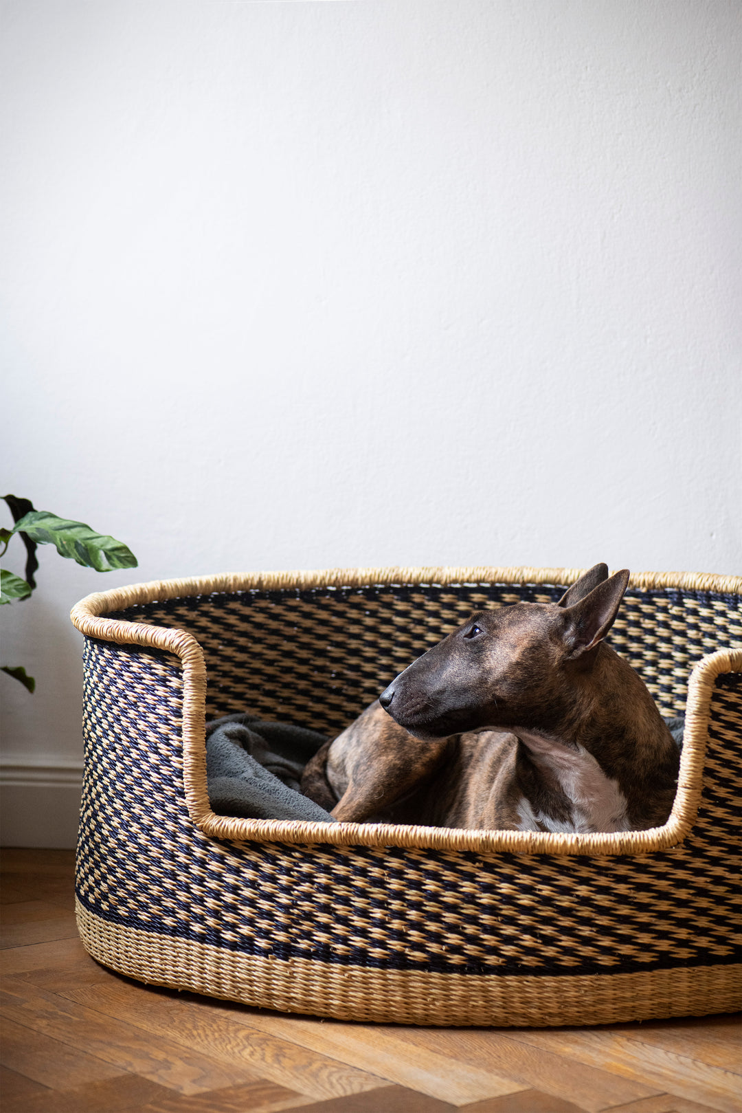 Hundekorb 'natur schwarz'