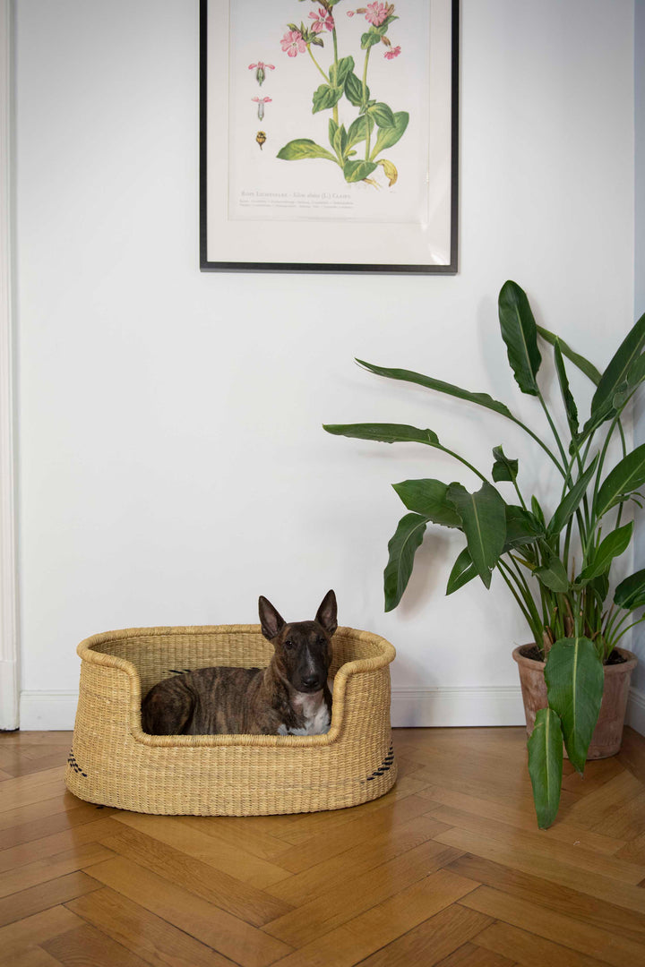 Hundekorb 'natur Ethnomuster'
