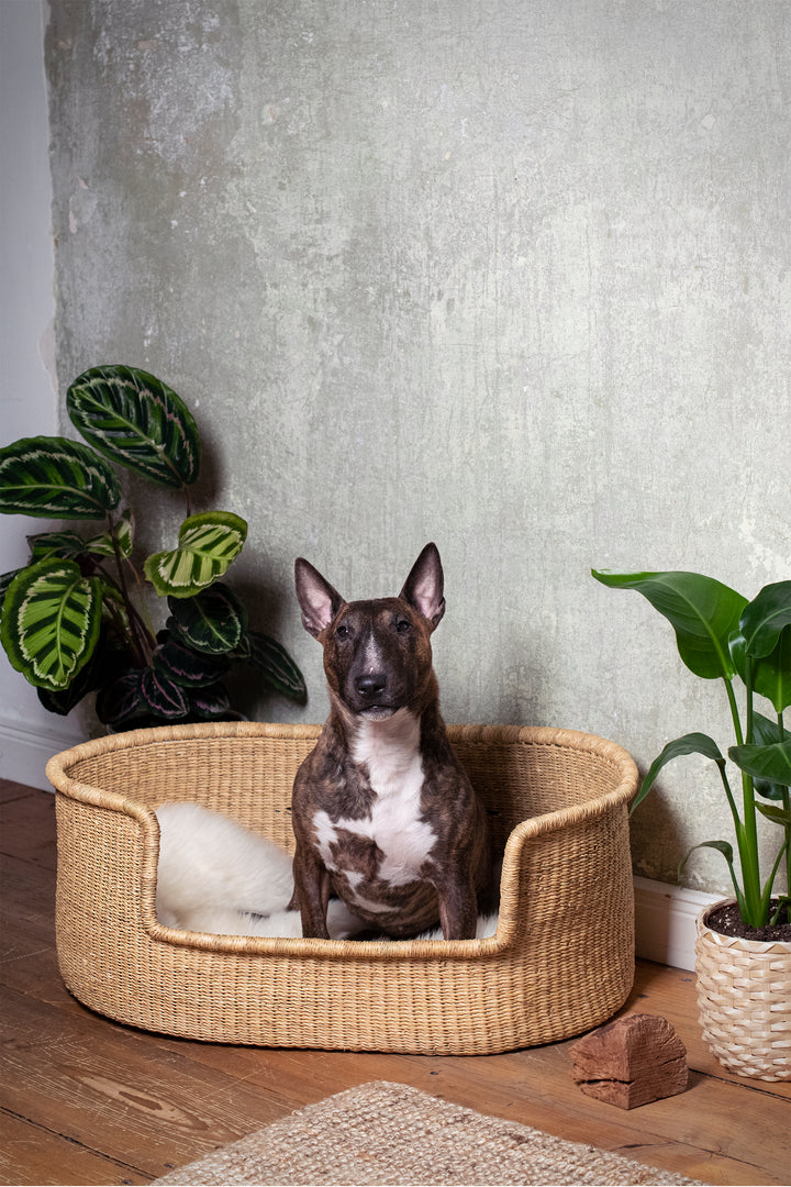 Hundekorb 'natur Ethnomuster'