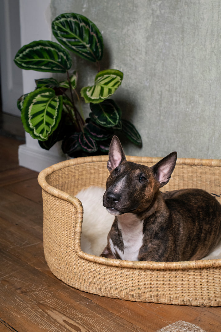 Hundekorb 'natur Ethnomuster'