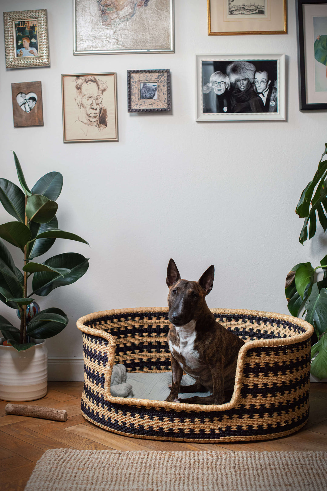 Korb Hundekorb Elefantengras Ethnomuster geflochten fair trade Ghana