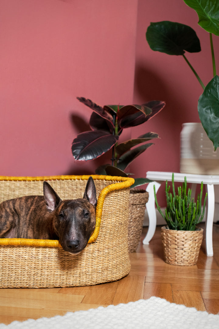 Hundekorb 'natur gelb'